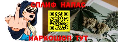 гашик Ливны