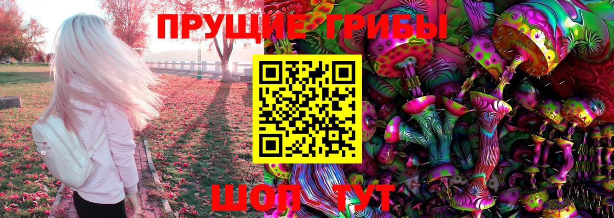 Псилоцибиновые грибы GOLDEN TEACHER Грязи